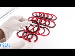 SPGO Glyd Seal HBTS Kademeli Contalar